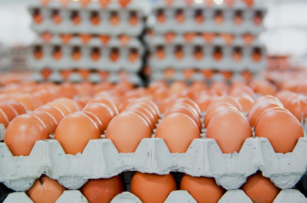 O ovo que se tornou a foto mais curtida do Instagram
